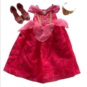 Disney princess Aurora costume